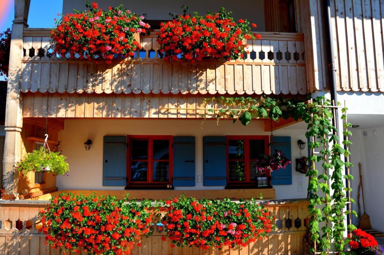 Gaestehaus Wild-Schuetz Швангау Экстерьер фото